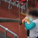 점보빌리지 이미지