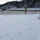 현암리 돌담집 이미지