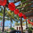 가느니농장 이미지