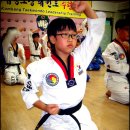 왕성태권도장 이미지