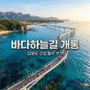 제27회차 세자매 9월19일(토)고성 바다하늘길.능파대 트레킹 및 중앙시장 쇼핑 /쌍용회관07시출발 회비75,000원 이미지