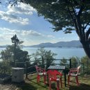 고흥숲속의바다 이미지