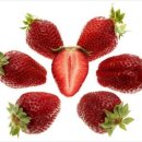 산음농장 이미지