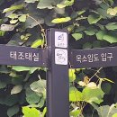 8/13 오전에 만인산 중부대 임도 한바퀴 돌고 왔어요~ 이미지