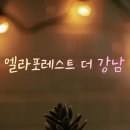 강남역 역삼역 더블 역세권, 엘라포레스트 더 강남 프리미엄 고시원 추천 후기