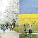 서울의 봄 이미지