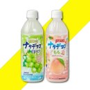 페트코코 이미지