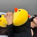 태전협화A경로당 | [공지] [대구 칠곡 왁싱] 여자 브라질리언왁싱 유목민들 어디갈지 모르겠다면 클릭!!