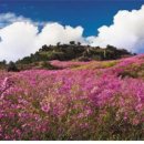 진달래노래방 이미지