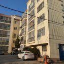 고하대로 이미지