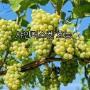 원짐 이미지