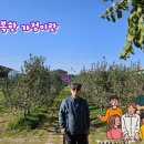 행복한과일나라