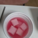 본죽&비빔밥 노원점 | 본죽 전복내장해물비빔밥, 전복내장죽 내돈내산 포장 솔직 후기