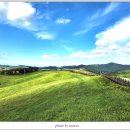 충남목장 이미지