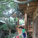 소나무집 이미지