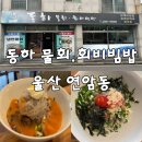 동하물회 | 울산 북구 연암동 물회 맛집 | 동하물회 냉면물회·회비빔밥 솔직 후기 🌊