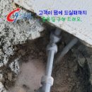 오이도카클리닉 이미지