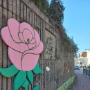 원주중앙초등학교 이미지