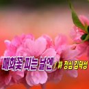 매화꽃 피는 날엔 / 詩 정심 김덕성 이미지