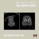 서동 동물메디컬센터 이미지