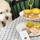 제로네간식타임 이미지