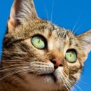 장암종합동물병원 이미지