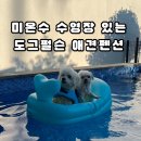 덕도그 | 여수 애견동반 숙소 야외 미온수 수영장도 있는 도그펄슨 애견펜션 🏡202호 패밀리룸