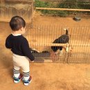 분동농장 이미지