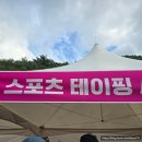 태백산보석사우나 | 트린이 첫대회 2025 다이나핏 태백트레일러닝 23k 후기