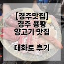 대화로 | [경주맛집] 경주 용황 양고기 맛집 대화로 후기 🐑 술값 실화임?