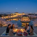 가야금(야간) | 2026 수원 화성행궁 야간개장 예매 성공 팁과 방화수류정 피크닉 세트 완벽 후기