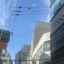 후후정육점 | [종로 맛집 추천] 백제정육점 산더미 육회와 차돌박이 내돈내산 솔직후기