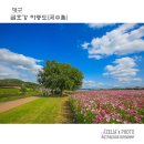 금호강10 이미지