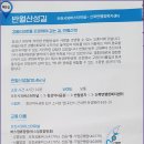 터미널5길 이미지