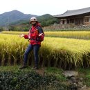 남도삼백리길(10코스) 이미지