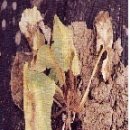 신농팜케미컬 이미지