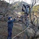 조은농장2 이미지