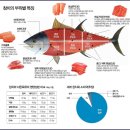 구일서 참치 네이버블로그