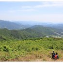 미인장수 이미지