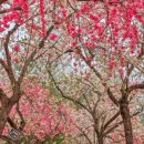 우곡마을입구 이미지