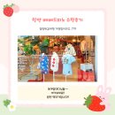 [밀양반값여행] 베베드피노 밀양점 세일 득템 후기! (ft. 역대가 꿀팁 공유)