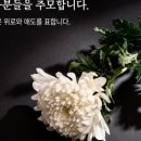 대전별서