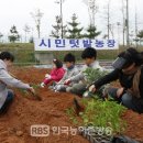 명화마을 이미지