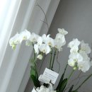 우아 온누리약국 이미지