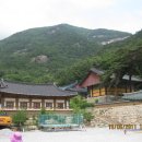 무릉도원 - 산청군 대원사길 595-20 | 무릉도원