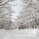 여행객 28만 명 돌파... 수학여행지로 &#39;이곳&#39;이 떠오르는 이유 이미지