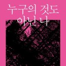 벨라플로르