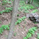 계곡품은펜션 이미지