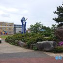 공립도평어린이집 Daum카페