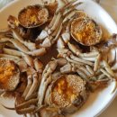 빼뽀참게 이미지